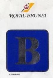 Royal Brunei Business class